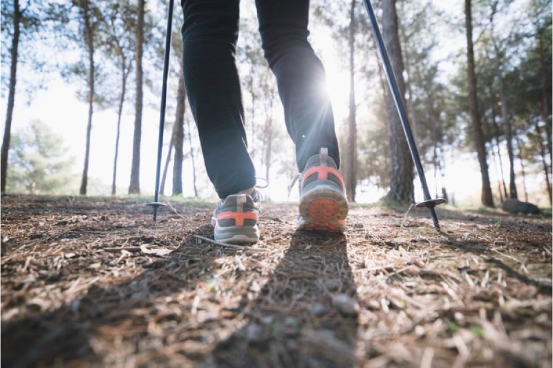 Paire de chaussures de trail