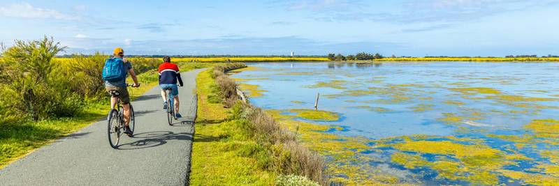 visiter île de Ré vélo ballade bicyclette location prix louer