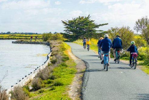 Visiter l’île de Ré à vélo : les plus belles balades