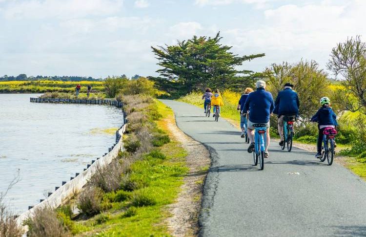 Visiter l’île de Ré à vélo : les plus belles balades