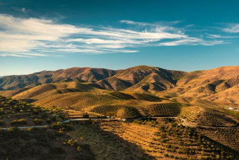 Portugal : comment organiser sa croisière sur le Douro ?