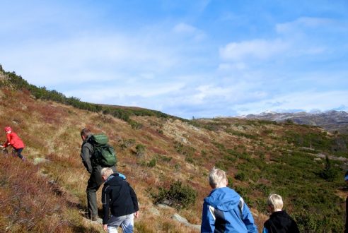 Norvège en famille : un voyage dépaysant