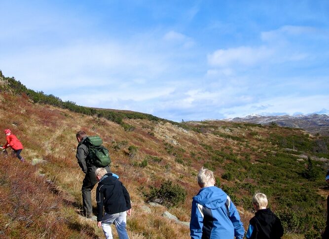Norvège en famille : un voyage dépaysant