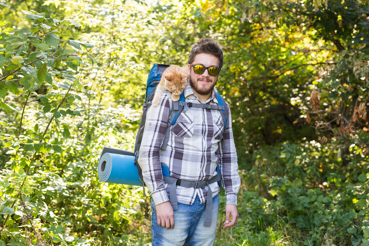 chat et voyageur