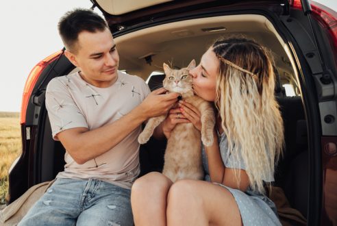 Promener son chat dans un sac en voyage : bonne ou mauvaise idée ?
