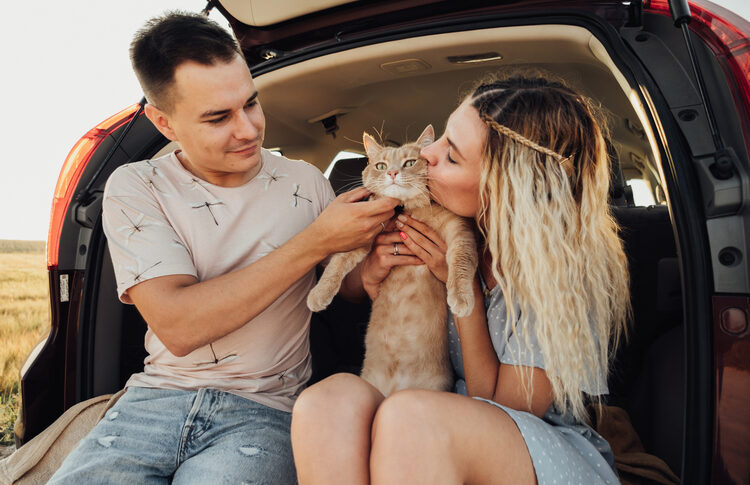 Promener son chat dans un sac en voyage : bonne ou mauvaise idée ?