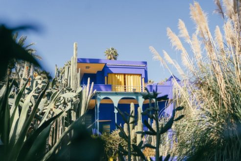 Zoom sur le Jardin Majorelle : qu&rsquo;en ont pensé les voyageurs ?