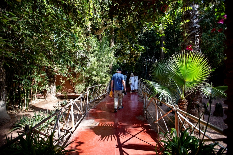 visite du jardin majorelle
