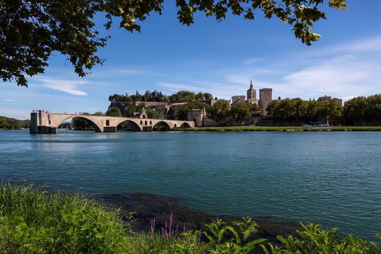avignon en vaucluse