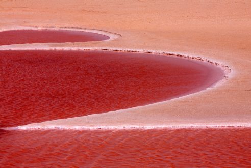 Pourquoi visiter le lac salé en Tunisie ?