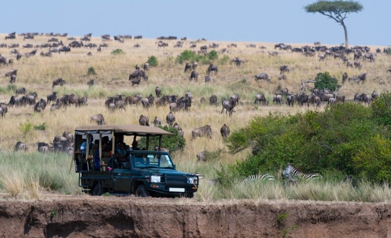Quelle saison choisir pour votre safari au Kenya ?