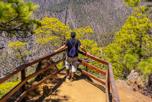 Quel professionnel choisir pour organiser un voyage aux Canaries sur mesure ?