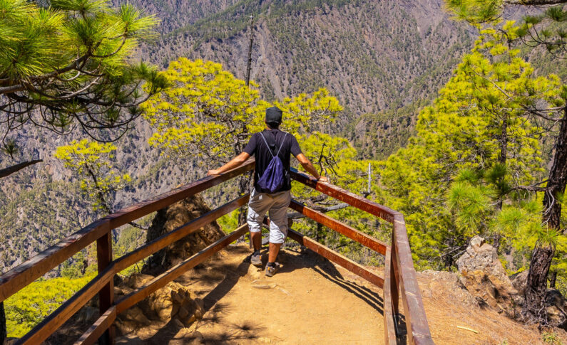 Quel professionnel choisir pour organiser un voyage aux Canaries sur mesure ?